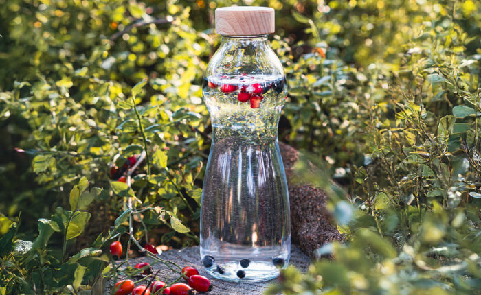 Beitragsbild für Blogbeitrag mit Flasche aus Borosilikatglas auf einem Baumstamm