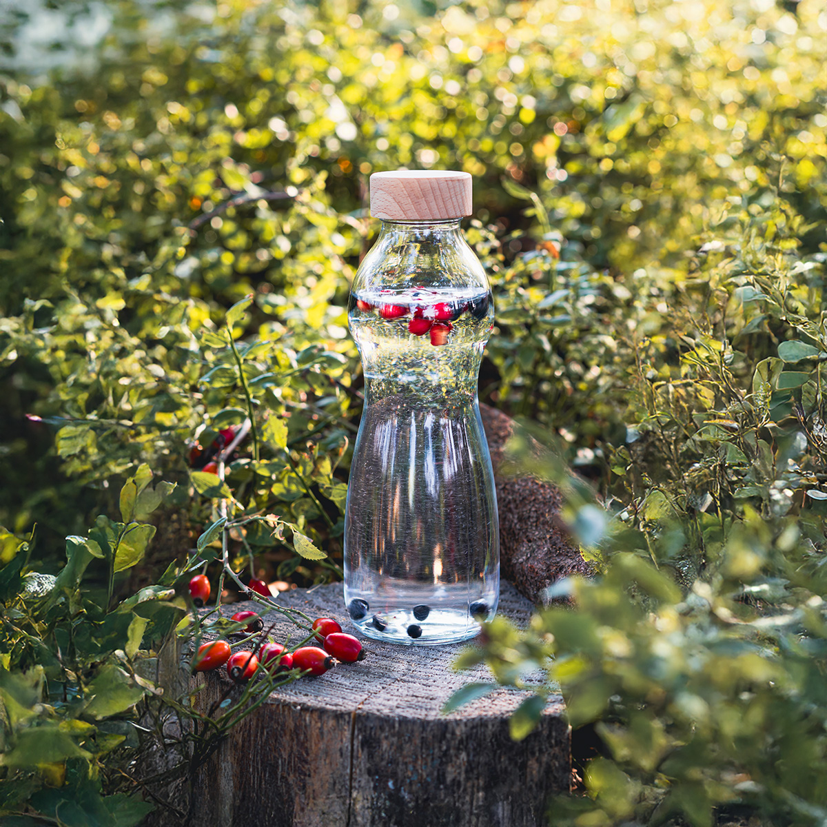 Beitragsbild für Blogbeitrag mit Flasche aus Borosilikatglas auf einem Baumstamm