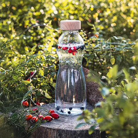 Mit Beeren gefüllte Wasserflasche auf einem Baumstamm