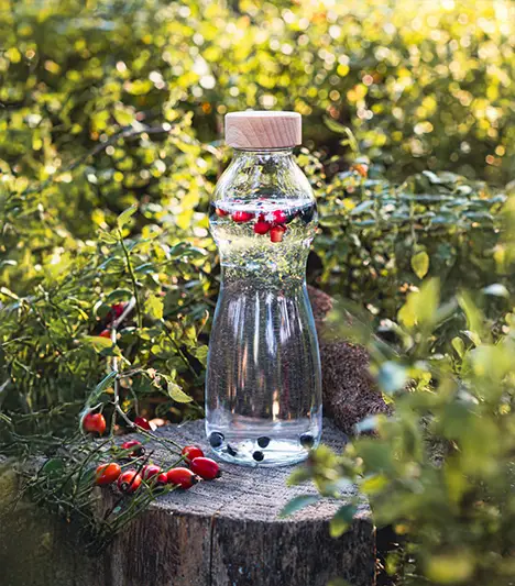 Mit Beeren gefüllte Wasserflasche auf einem Baumstamm